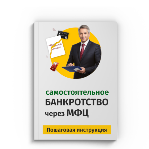 Пошаговая процедура банкротства через МФЦ в Химках